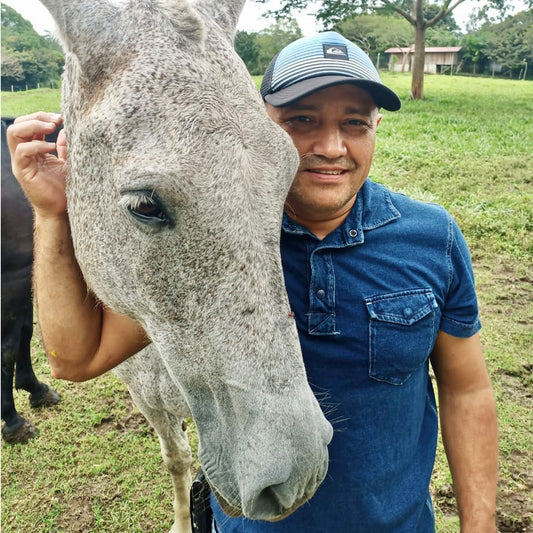 Donate to Guayabo Animal Rescue